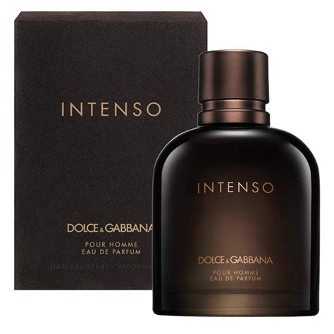 dolce gabbana homme parfum 2015|dolce and gabbana intenso men.